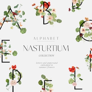 Aquarela Chagas Floral Alfabeto e E Comercial, Letras Incorporadas em Flores de Verão, Botânico, Aquarela Blush Dália, Flores de Jardim