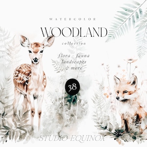 Aquarell Wald Clipart, Wald Clipart, Waldtiere, Farn Clipart, Berglandschaft, Kiefer Clipart, Aquarell Wildblumen