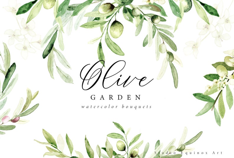 May include: Watercolor illustration of olive branches with green leaves and olives, and white flowers. The text "Olive Garden watercolor bouquets" is written in black cursive font.