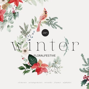 Clipart aquarelle hiver - fleurs de Noël - pin clipart - poinsettia - clipart Noël - clipart hiver - fleurs d'hiver - baies