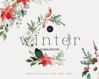 Winter Floral Watercolor Clipart – Poinsettia, Pine, Berries (PNG)