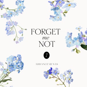 May include: Watercolour illustration of forget-me-not flowers in blue and green hues. The text "FORGET me NOT" is written in black font. The number "7" is circled in black. The text "ARRANGEMENTS" is written in black font.