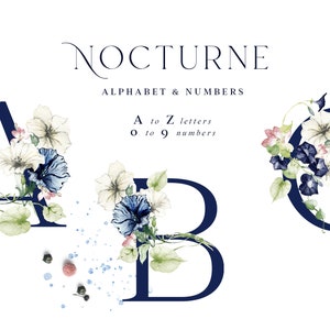 Navy Blush Floral Alphabet & Numbers – Watercolor Graphics (PNG)