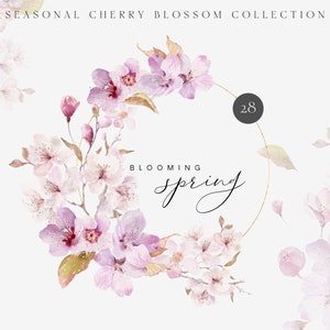 Aquarell Kirschblüten - Kirschblüten Clipart - Sakura Clipart - Blumenrahmen - Blumenkränze - Frühling Clipart - Blumen Clipart