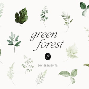 Greenery Foliage Clipart - Greenery Clipart - Eucalyptus Clipart - Eucalyptus Watercolor - Watercolor Greenery - Watercolor Clipart -Foliage