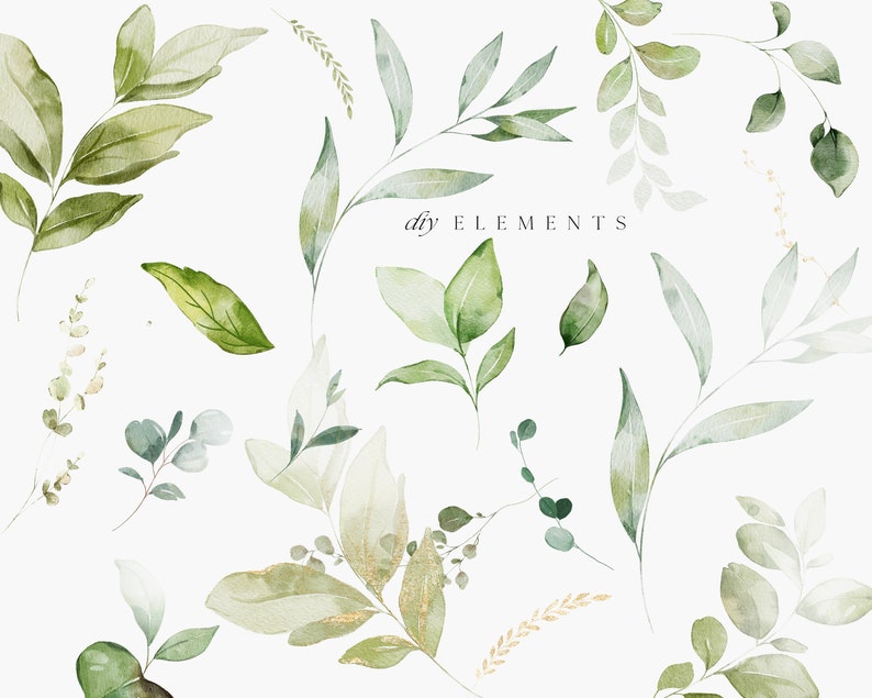 Ilustraciones botánicas en acuarela con motivos vegetales y detalles en lámina dorada. imagen 5