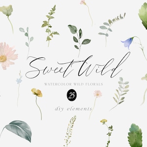 Clipart floral selvagem - Flores silvestres - Clipart floral - Clipart de casamento - Clipart de vegetação - Clipart aquarela - Clipart de flores silvestres