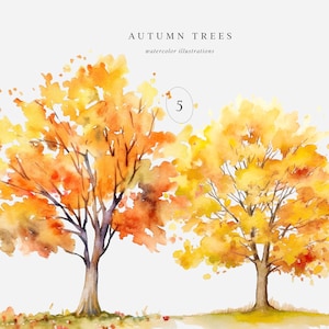 Aquarelle automne arbres Clipart, arbre de la forêt, arbre d’automne, automne Clipart, Clipart automne, aquarelle automne, automne Illustration, aquarelle arbre