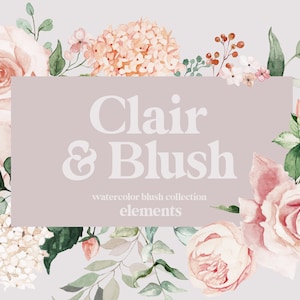 Puede incluir: Ilustración de acuarela de un arreglo floral con rosas rosadas, hortensias blancas y hojas verdes. El texto "Clair & Blush watercolor blush collection elements" se muestra sobre un fondo rosa claro.