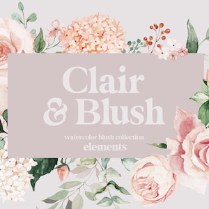 Clair und Blush, Aquarell Grafische Elemente, Blush Rose, Blush Pfingstrose, Aquarell Blush Hortensie, Blush Pfingstrose und Rosen