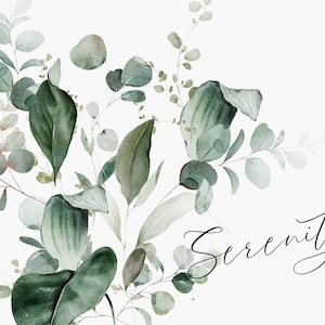 Watercolor Greenery Clipart - Greenery Clipart - Eucalyptus Clipart - Eucalyptus Watercolor - Watercolor Greenery - Greenery - Serenity