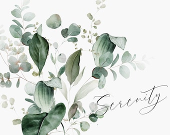 Aquarelle Verdure Clipart - Verdure Clipart - Eucalyptus Clipart - Eucalyptus Aquarelle - Aquarelle Verdure - Verdure - Sérénité