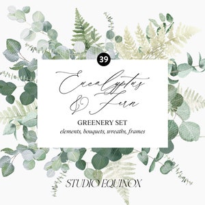 Eucalyptus et fougère aquarelle Clipart, Clipart de verdure, vert tendre, verdure d’Eucalyptus, feuillage vert, verdure, fougère aquarelle