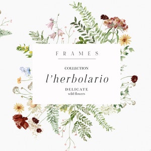 Clipart de molduras florais selvagens, molduras florais em aquarela de primavera / verão, flores silvestres, clipart floral em aquarela, flores botânicas e ervas