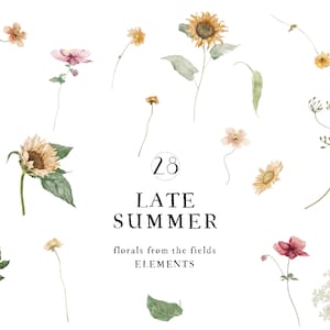 Aquarelle éléments floraux Clipart, tournesol, floral botanique, tournesol botanique, clipart papillon, fleur d’été, floral d’automne, numérique