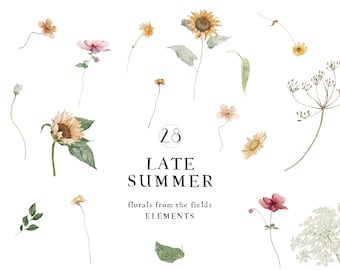May include: A set of 28 watercolor illustrations of late summer flowers and plants. The illustrations include sunflowers, daisies, wildflowers, and greenery. The illustrations are perfect for adding a touch of nature to your designs.