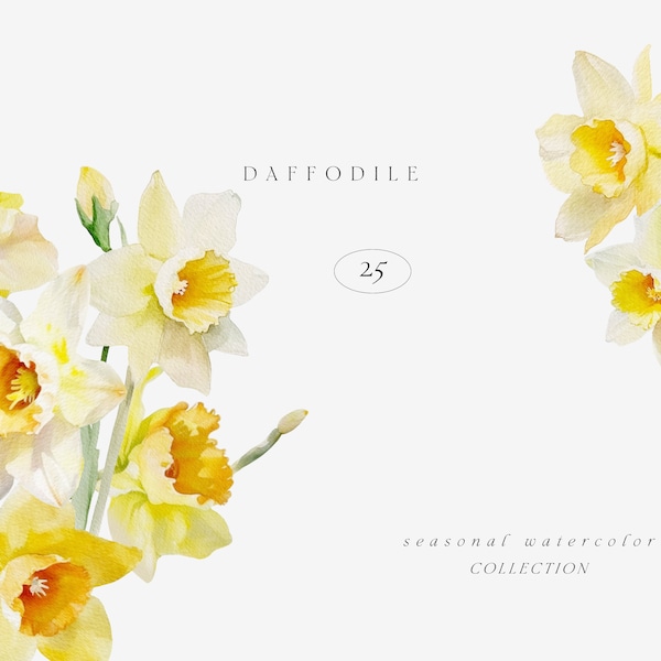 Daffodil Watercolor Clipart, Watercolor Floral Clipart, Daffodil Clipart, Spring Clipart, Daffodil Bouquets, Daffodil Wreath, Daffodil Frame