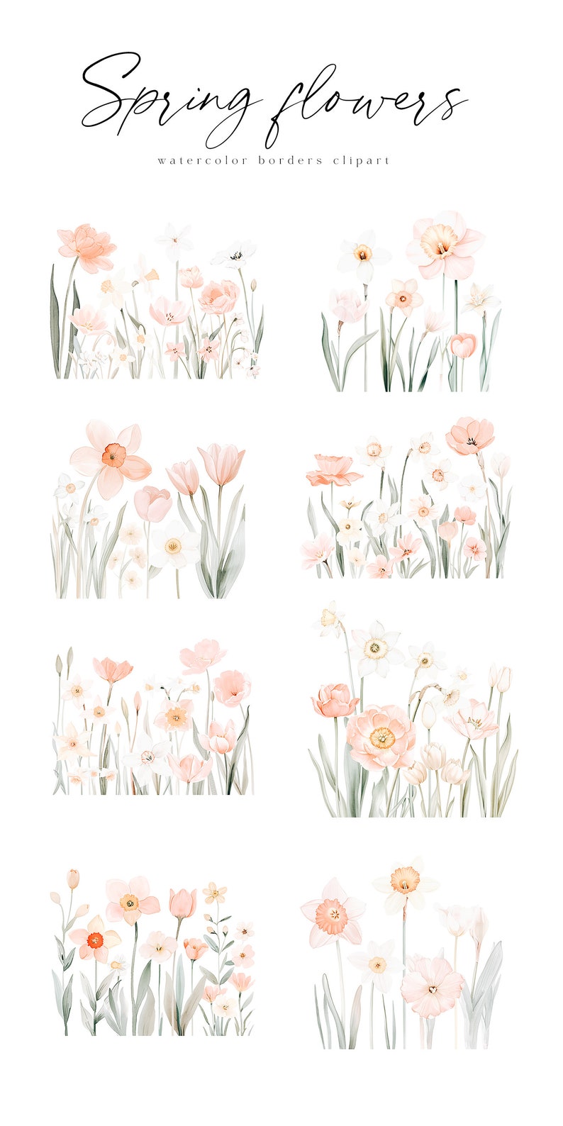 Watercolor Spring Flower Borders Clipart, Tulips, Daffodils (digital ...
