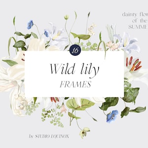 Lírio selvagem, molduras florais pré-fabricadas, clipart floral, flores de verão em aquarela, molduras de lírios, clipart de casamento, clipart de verão, lírios brancos