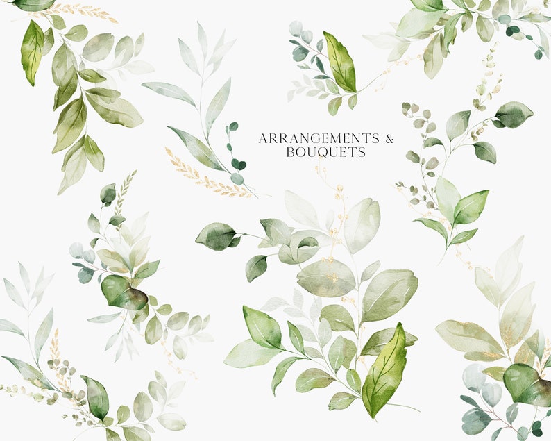 Ilustraciones botánicas en acuarela con motivos vegetales y detalles en lámina dorada. imagen 3