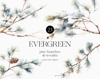 Watercolor Christmas Clipart, Pine Branch and Wreaths (PNG)