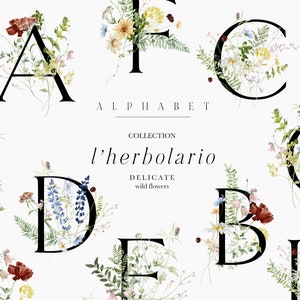 Wild Floral Alphabet Clipart, esperluette, aquarelle printemps/été fleurs sauvages, lettres florales aquarelle, fleurs botaniques et herbes