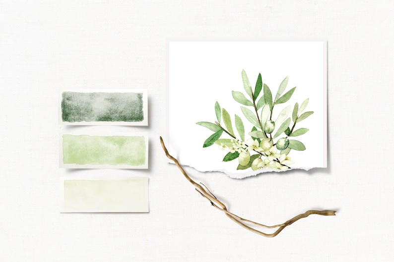 May include: Watercolor painting of a green leafy branch with white flowers and green berries. The painting is on a white background with torn edges. There are three watercolor swatches in the image: dark green, light green, and cream.