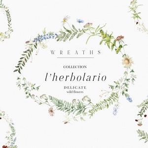 Clipart de grinaldas florais selvagens, grinaldas florais em aquarela de primavera / verão, flores silvestres, clipart floral em aquarela, flores botânicas e ervas