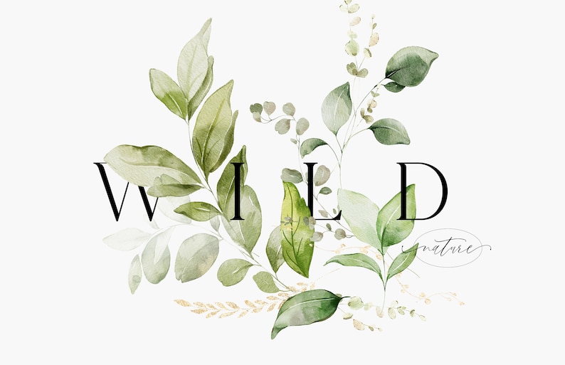 Ilustraciones botánicas en acuarela con motivos vegetales y detalles en lámina dorada. imagen 10