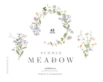 Meadow - Wild Flower Aquarel Clipart, Botanische Wilde Bloemen Clipart, Bloemen Arrangementen, Aquarel Rustieke Clipart, Elegante Bloemen,