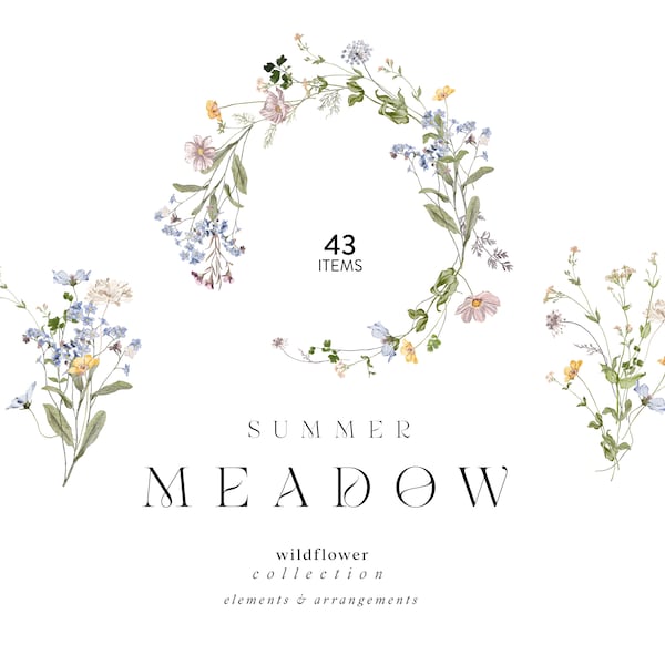 Meadow - Wild Flower Watercolor Clipart, Botanical Wild Flowers Clipart, Flowers Arrangements, Watercolor Rustic Clipart, Elegant Blooms,