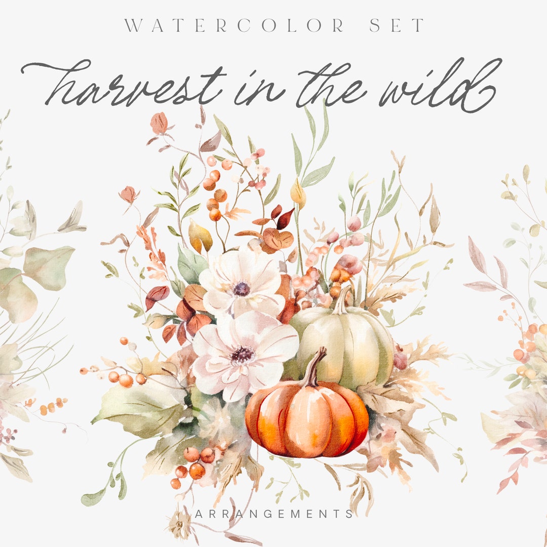 Watercolor Autumn Clipart – Pumpkin & Floral Arrangements (PNG) - Etsy