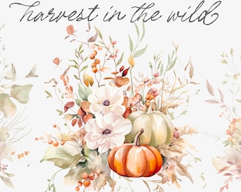 Puede incluir: Ilustración de acuarela de una cosecha en la naturaleza con calabazas, flores blancas y follaje de otoño. La ilustración se titula "Harvest in the Wild" y forma parte de un conjunto de acuarelas.