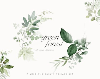 Puede incluir: Ilustración en acuarela de hojas y ramas verdes dispuestas en un diseño circular. El texto "green forest" se muestra en una elegante escritura, con "fresh leaves & branches" debajo. La frase "A WILD AND DAINTY FOLIAGE SET" está en la parte inferior.
