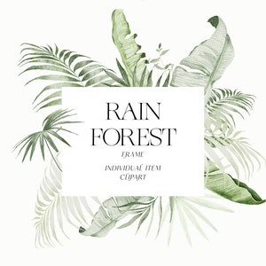 Aquarell Tropisch Grün, Tropischer Rahmen Clipart, Dschungel Clipart, Aquarell Grün, Palmenblatt, Bananenbaum Blatt, Digital
