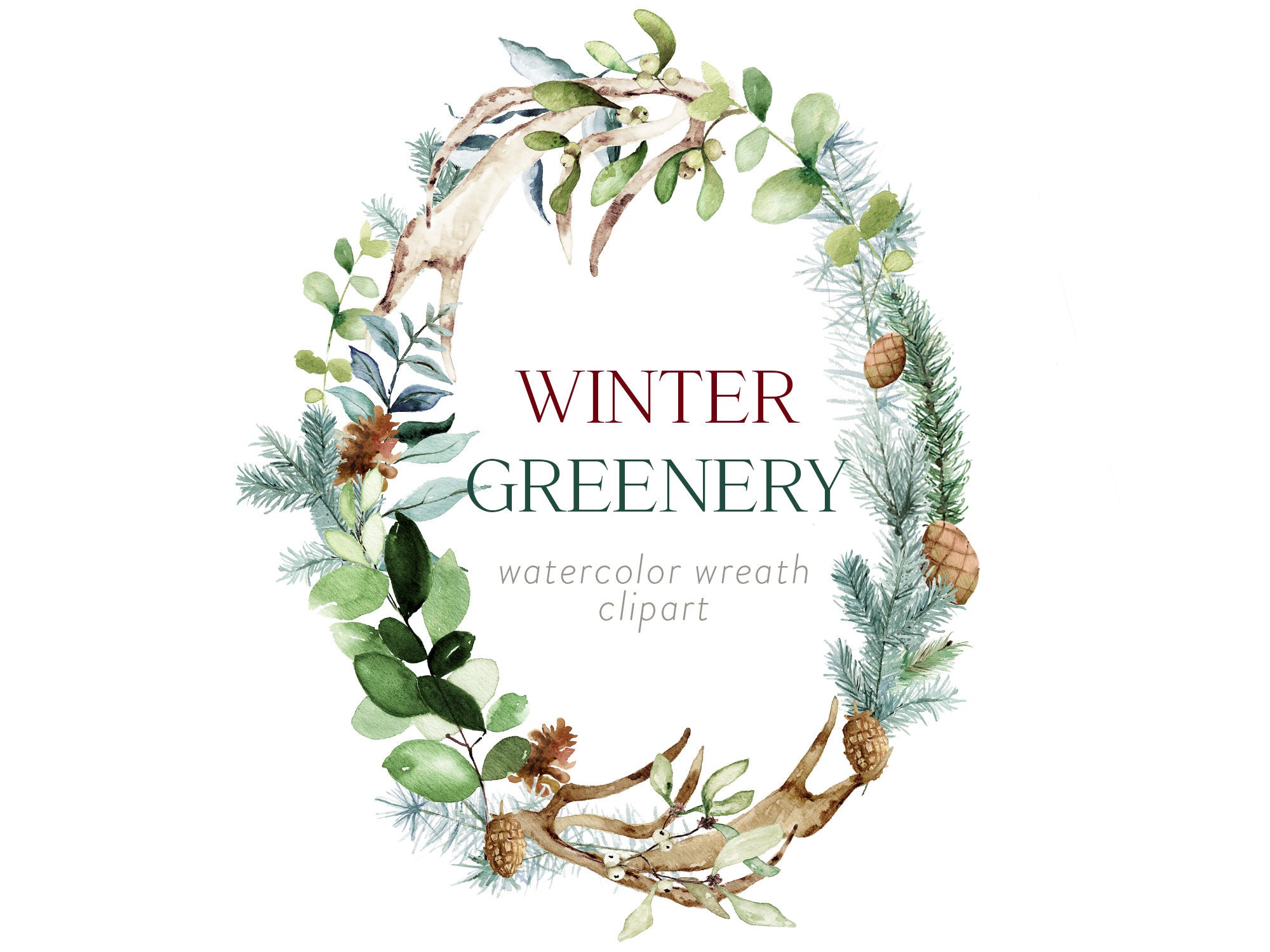Free Winter Greenery Clipart Set · Pinspiry