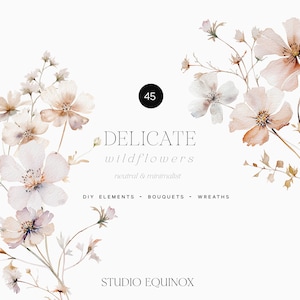Clipart de flores silvestres em aquarela, clipart floral neutro, clipart de buquê floral, clipart de coroa floral, clipart de casamento, flores minimalistas