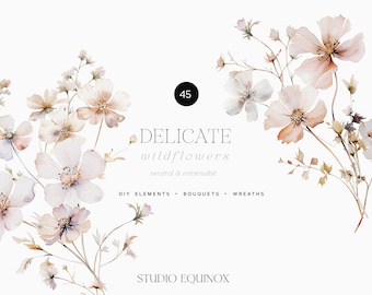 May include: A digital illustration of 45 delicate watercolor wildflowers in shades of white, pink, and brown. The flowers are arranged in a loose bouquet and have a neutral and minimalist aesthetic. The text "DELICATE wildflowers neutral & minimalist DIY ELEMENTS - BOUQUETS - WREATHS STUDIO EQUINOX" is included in the image.