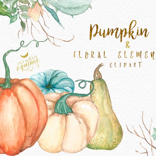Watercolor Pumpkin Clipart Autumn Floral Elements Floral - Etsy