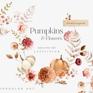 Acuarela Otoño Clipart - Calabaza Clipart - Flores de Otoño - Hojas de Otoño - Otoño Clipart - Colección - Otoño - Dalia - Calabaza