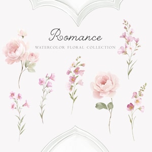 May include: Watercolor floral collection titled "Romance" featuring delicate pink flowers and green stems. The image includes various floral arrangements, including roses and sprigs, with a soft, romantic aesthetic.