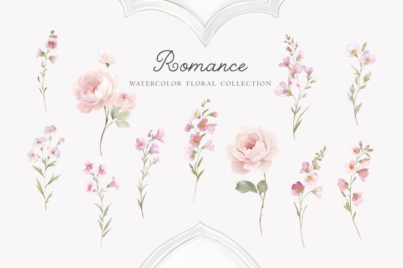 May include: Watercolor floral collection titled "Romance" featuring delicate pink flowers and green stems. The image includes various floral arrangements, including roses and sprigs, with a soft, romantic aesthetic.