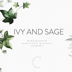 Klimop en salie, aquarel groen clipart, bladgebladerte, handgeschilderde groen, aquarel Ivy wijnstokken clipart, salie clipart, groen bruiloft