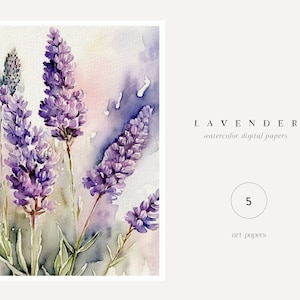 Aquarelle lavande - Clipart lavande - Floral fond - fleurs lavande - Clipart mariage - fond - papier numérique
