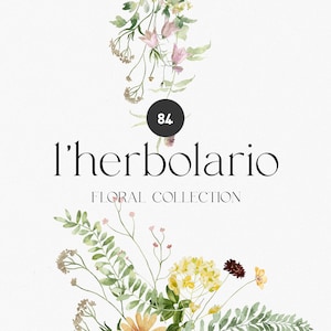 Clipart floreale selvaggio dell'acquerello, Clipart di mazzi, ghirlande di fiori selvatici, Clipart di cornici floreali, alfabeto floreale, erbe e fiori botanici