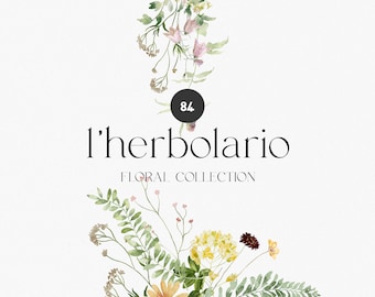 May include: Watercolor illustration of a floral bouquet with yellow, pink, and green flowers. The text "l'herbolario FLORAL COLLECTION" is below the bouquet.