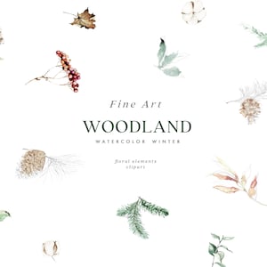 Woodland Fine Art Winter Floral Elements Clipart, Clipart invernale dell'acquerello, Clipart ramo di pino, Clipart pigna, Bacche, Clipart albero