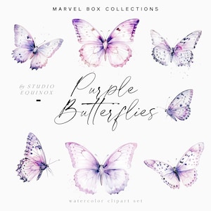 Clipart de borboletas roxas aquarela, clipart de adesivos, clipart de aquarela, clipart floral aquarela, clipart de casamento, clipart de borboletas