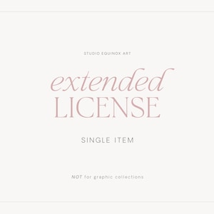 Licenza estesa : StudioEquinox - Licenza per singolo articolo