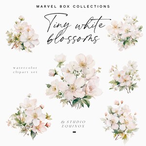 Clipart di fiori di ciliegio dell'acquerello, ramoscelli fioriti, clipart floreali, clipart di mazzi, clipart primaverili, clipart di scrapbooking, clipart di adesivi